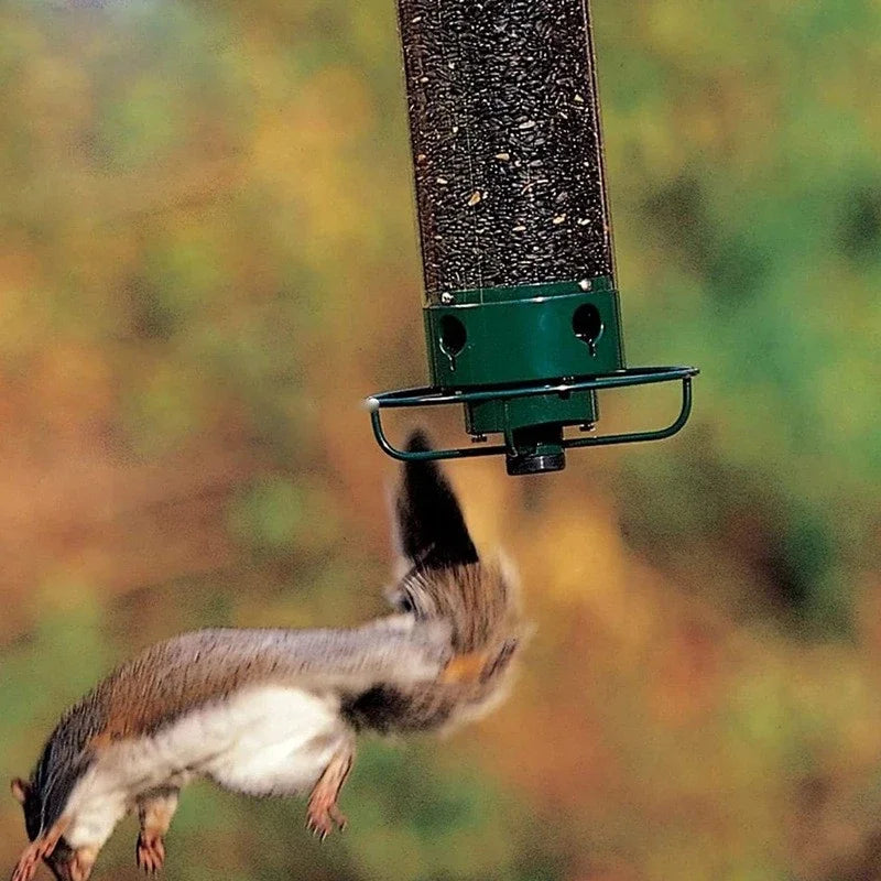 Crazycritter ™ FeatherFriend Secure Squirrel-Proof Feeder